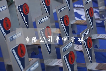 有限公司年审逾期 有限公司年审逾期