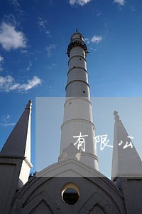 有限公司法人如何类型