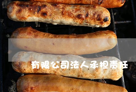 有限公司法人承担责任 有限公司法人承担责任