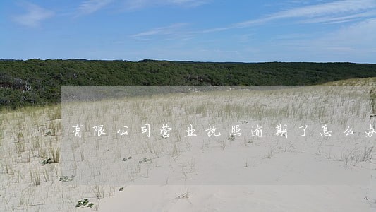 有限公司营业执照逾期了怎么办