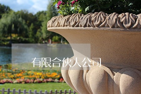 有限合伙人公司 有限合伙人公司
