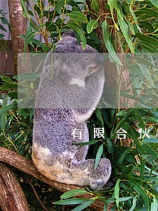 有限合伙企业清算 有限合伙企业清算