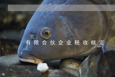 有限合伙企业税收核定 有限合伙企业税收核定