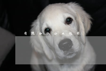 有限合伙企业税率