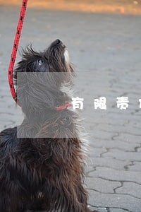 有限责任公司分支机构法律条文 有限责任公司分支机构法律条文