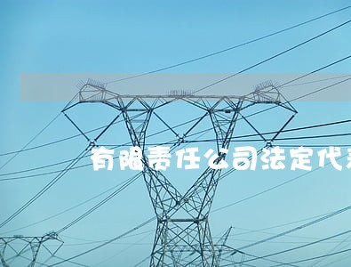 有限责任公司法定代表人的产生 有限责任公司法定代表人的产生