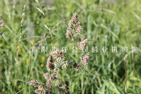 有限责任公司营业执照逾期 有限责任公司营业执照逾期