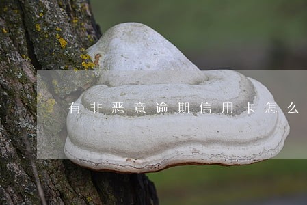 有非恶意逾期信用卡怎么办 有非恶意逾期信用卡怎么办