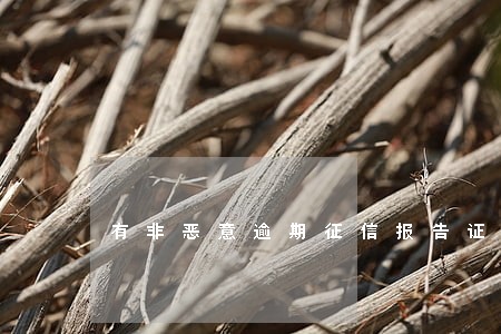 有非恶意逾期征信报告证明吗