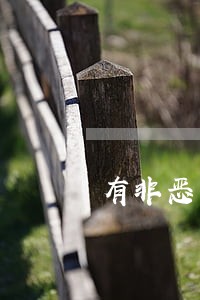 有非恶意逾期证明能提公积金吗