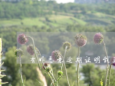 有非恶意逾期证明能正常贷款吗 有非恶意逾期证明能正常贷款吗