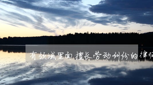 有领域里面擅长劳动纠纷的律师吗 有领域里面擅长劳动纠纷的律师吗