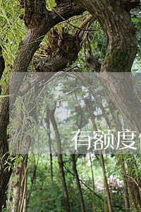 有额度借不出来导致逾期 有额度借不出来导致逾期