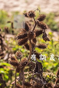 有额度没有逾期为什么还不了 有额度没有逾期为什么还不了