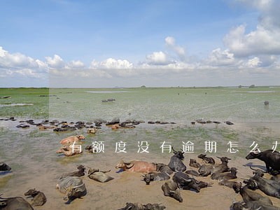 有额度没有逾期怎么办 有额度没有逾期怎么办