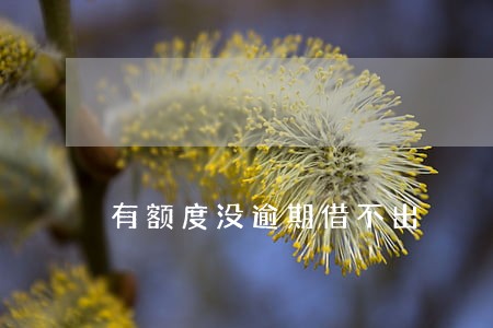 有额度没逾期借不出 有额度没逾期借不出