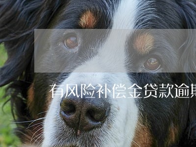 有风险补偿金贷款逾期怎么办 有风险补偿金贷款逾期怎么办