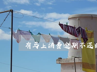 有马上消费逾期不还的老哥吗 有马上消费逾期不还的老哥吗