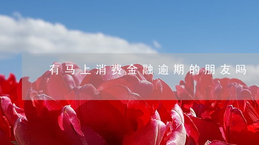 有马上消费金融逾期的朋友吗 有马上消费金融逾期的朋友吗