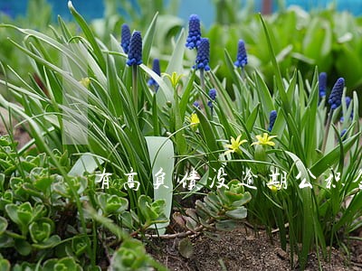 有高负债没逾期公积金 有高负债没逾期公积金