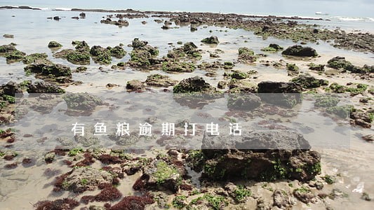 有鱼粮逾期打电话 有鱼粮逾期打电话