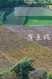 有鱼钱包逾期 有鱼钱包逾期