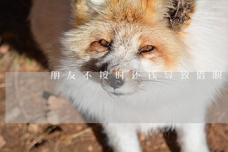 朋友不按时还钱导致借呗逾期 朋友不按时还钱导致借呗逾期
