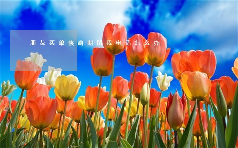 朋友买单侠逾期留我电话怎么办 朋友买单侠逾期留我电话怎么办