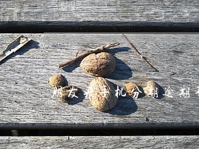 朋友买手机分期逾期不还会怎样 朋友买手机分期逾期不还会怎样