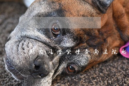 朋友以借贷债务向法院起诉 朋友以借贷债务向法院起诉
