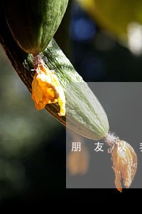 朋友以我的名义买房逾期 朋友以我的名义买房逾期
