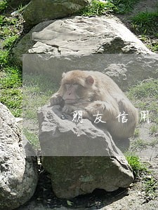 朋友信用卡逾期4年怎么办还 朋友信用卡逾期4年怎么办还
