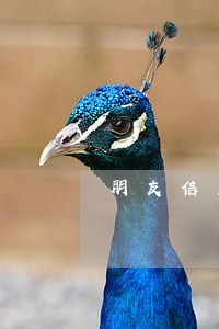 朋友信用卡逾期一直骚扰我 朋友信用卡逾期一直骚扰我