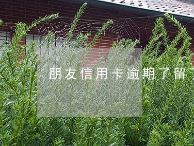 朋友信用卡逾期了留了我电话 朋友信用卡逾期了留了我电话