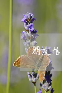 朋友信用卡逾期了能帮他还款吗 朋友信用卡逾期了能帮他还款吗