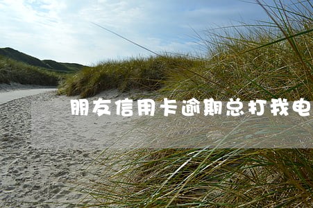 朋友信用卡逾期总打我电话 朋友信用卡逾期总打我电话