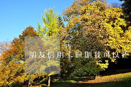 朋友信用卡逾期我可以还 朋友信用卡逾期我可以还