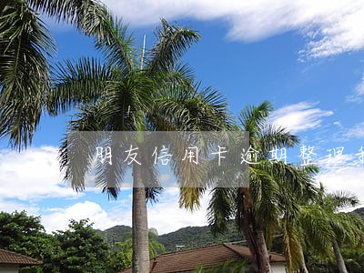 朋友信用卡逾期整理我的备案 朋友信用卡逾期整理我的备案