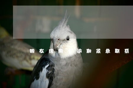 朋友信用卡逾期紧急联系人是我 朋友信用卡逾期紧急联系人是我