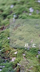朋友信用卡逾期被骚扰可以投诉吗 朋友信用卡逾期被骚扰可以投诉吗