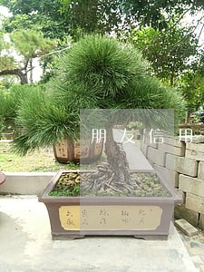 朋友信用卡逾期银行打我的电话