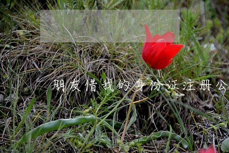 朋友借我的身份证注册公司违法吗 朋友借我的身份证注册公司违法吗