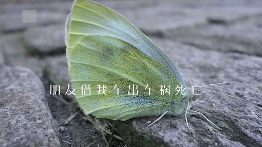 朋友借我车出车祸死亡 朋友借我车出车祸死亡