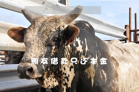 朋友借款只还本金 朋友借款只还本金