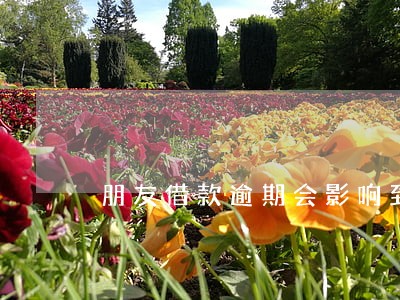 朋友借款逾期会影响到我吗 朋友借款逾期会影响到我吗