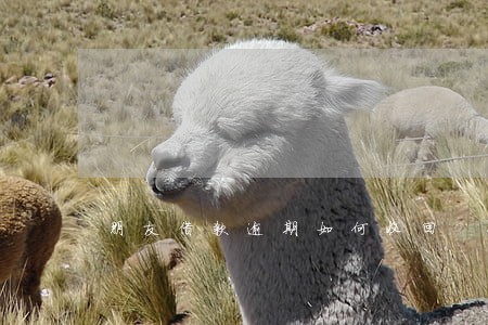 朋友借款逾期如何收回 朋友借款逾期如何收回