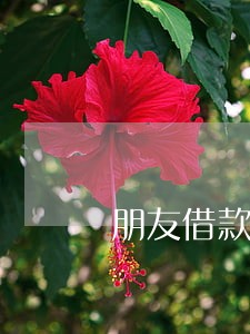 朋友借款逾期我是紧急联系人 朋友借款逾期我是紧急联系人