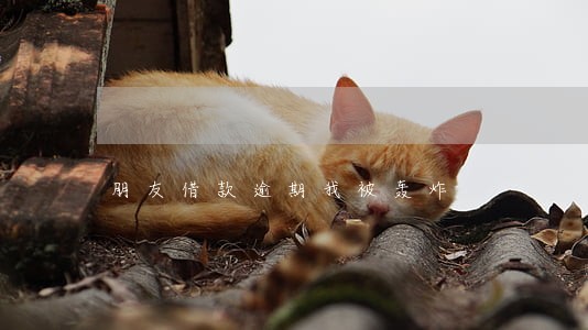 朋友借款逾期我被轰炸 朋友借款逾期我被轰炸