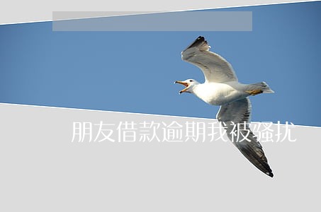 朋友借款逾期我被骚扰 朋友借款逾期我被骚扰