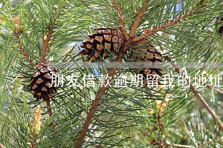 朋友借款逾期留我的地址 朋友借款逾期留我的地址